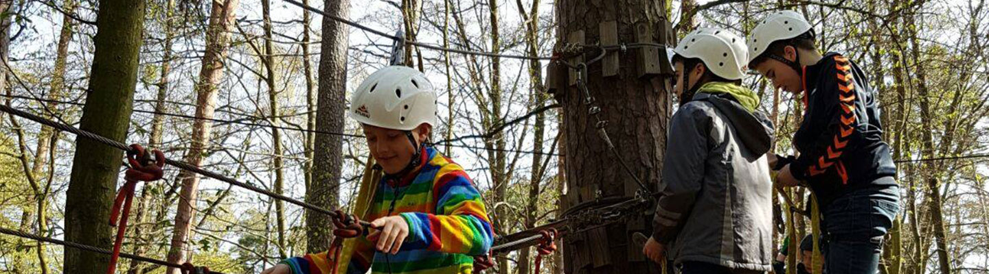 Saisonabschluss Männliche E-Jugend 2015/2016 Kletterwald