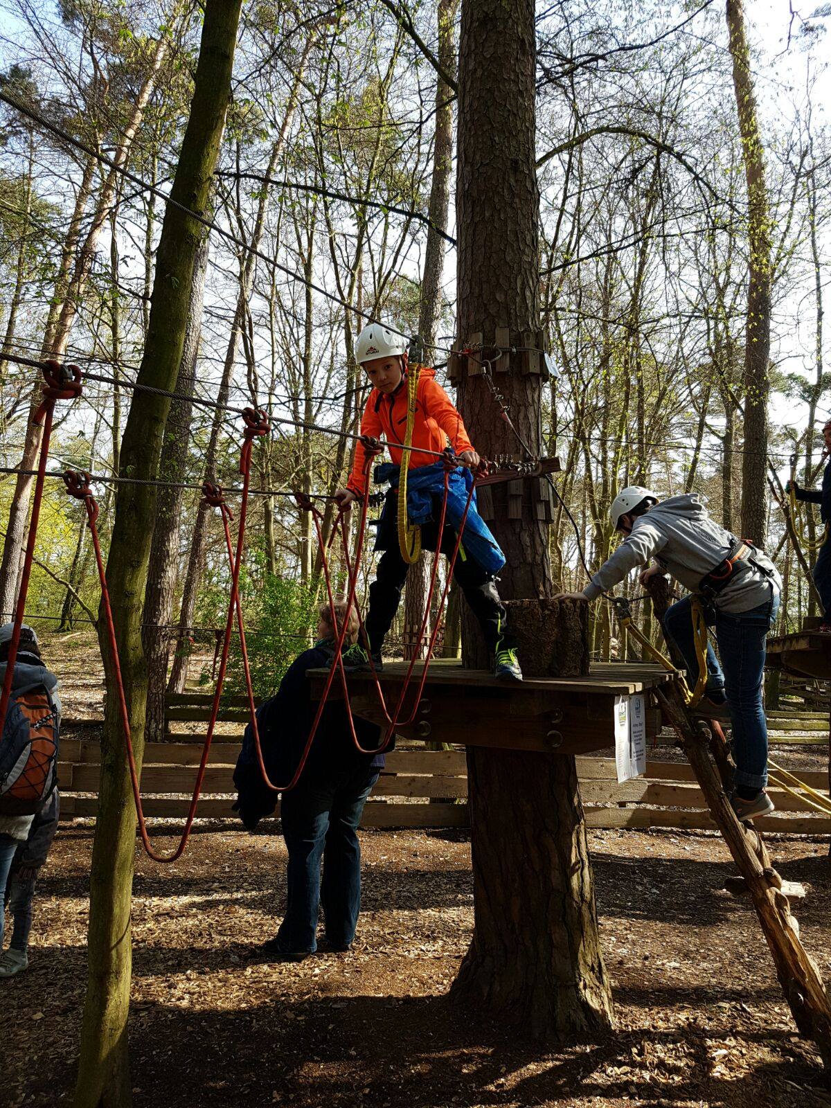 Saisonabschluss Männliche E-Jugend 2015/2016 Kletterwald