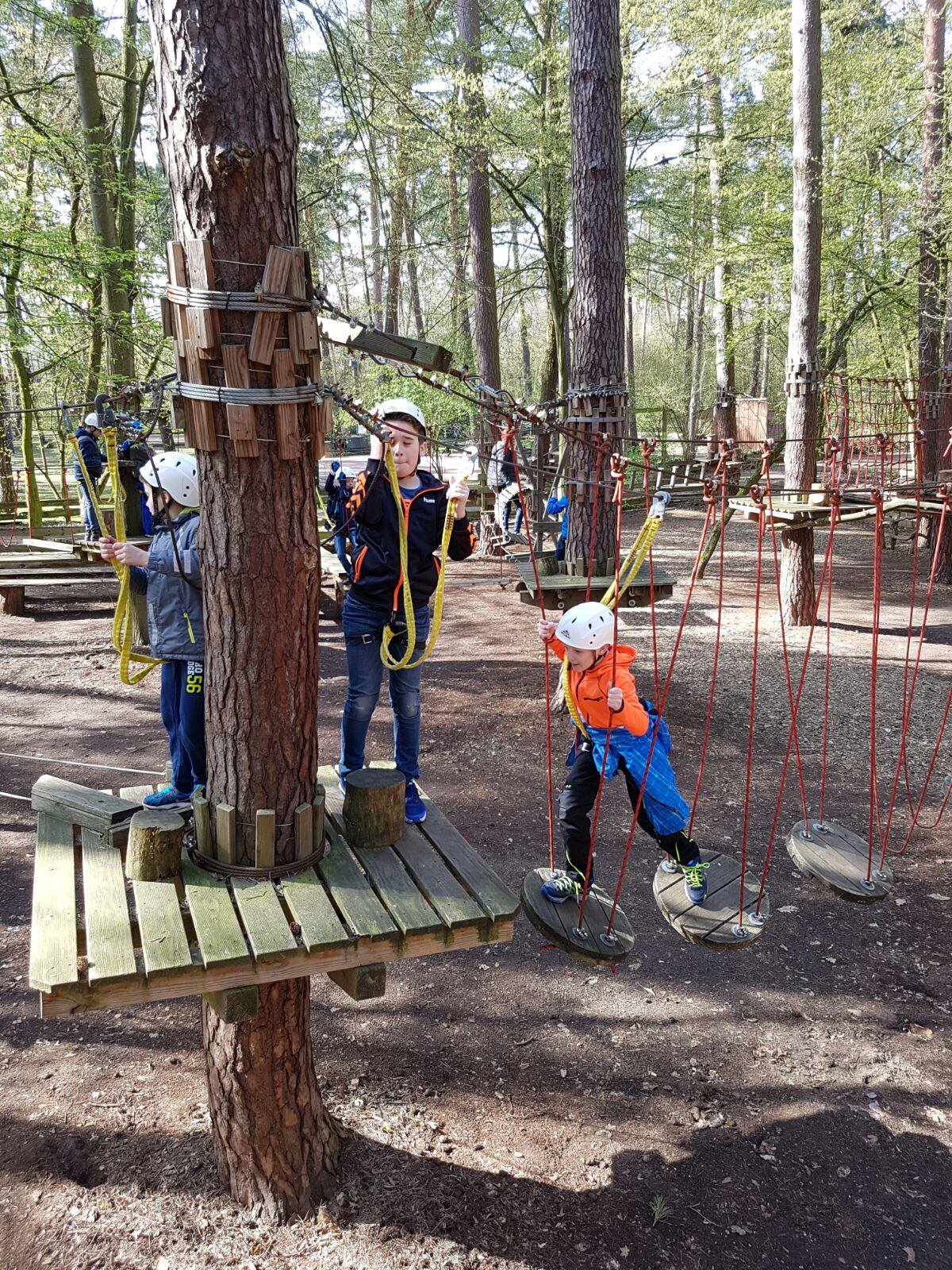 Saisonabschluss Männliche E-Jugend 2015/2016 Kletterwald