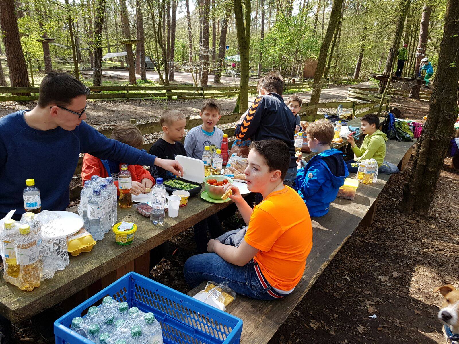 Saisonabschluss Männliche E-Jugend 2015/2016 Kletterwald