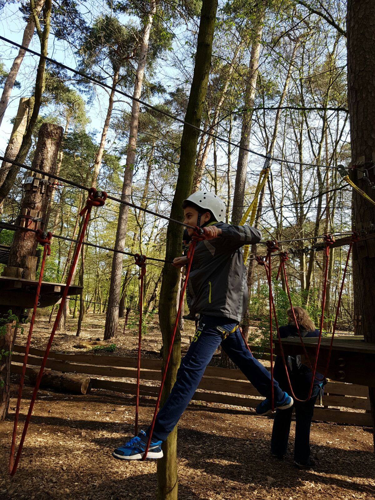 Saisonabschluss Männliche E-Jugend 2015/2016 Kletterwald