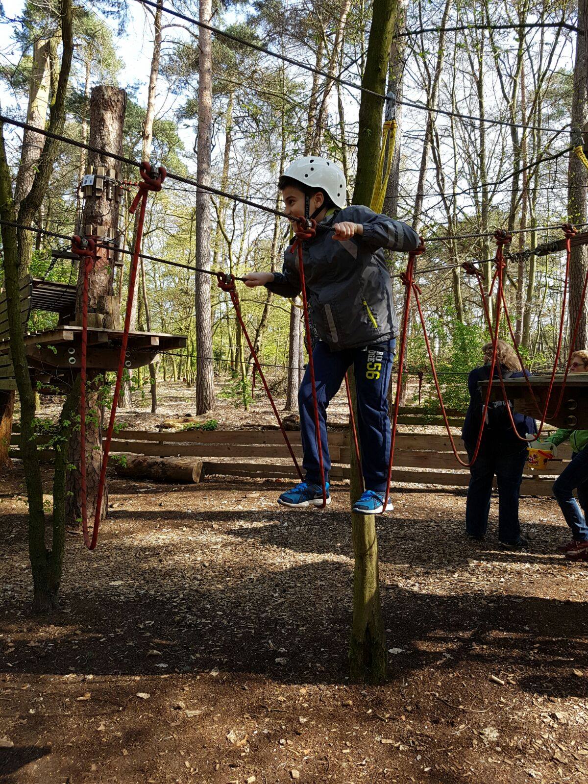 Saisonabschluss Männliche E-Jugend 2015/2016 Kletterwald