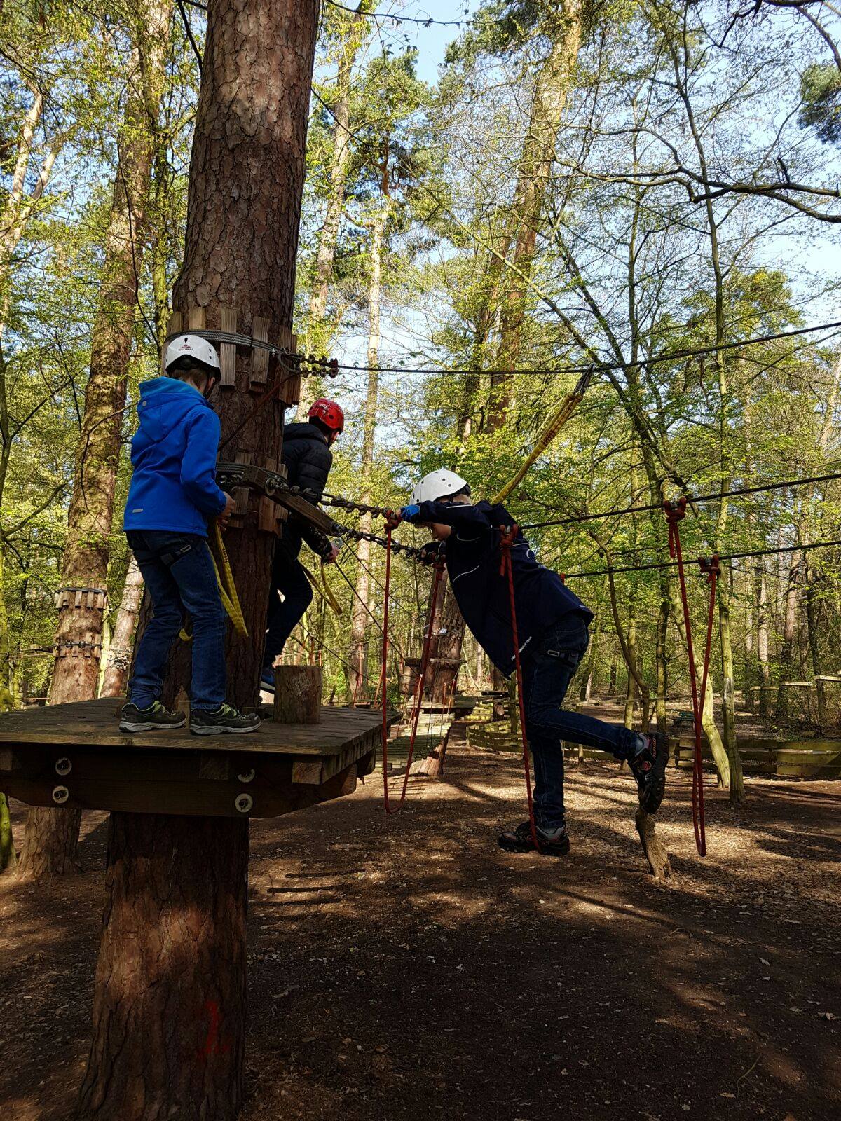 Saisonabschluss Männliche E-Jugend 2015/2016 Kletterwald