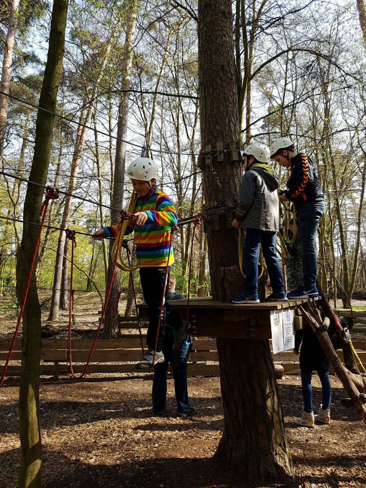 Saisonabschluss Männliche E-Jugend 2015/2016 Kletterwald