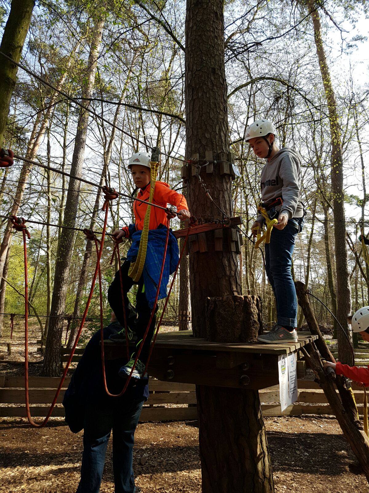 Saisonabschluss Männliche E-Jugend 2015/2016 Kletterwald