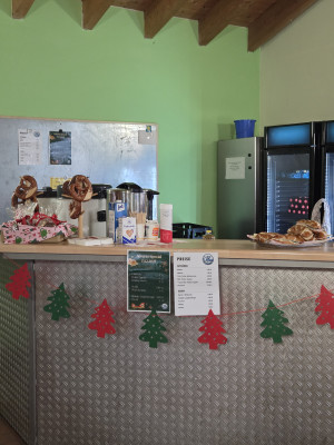 Advents-Special und Rhein-Neckar-L&ouml;wen