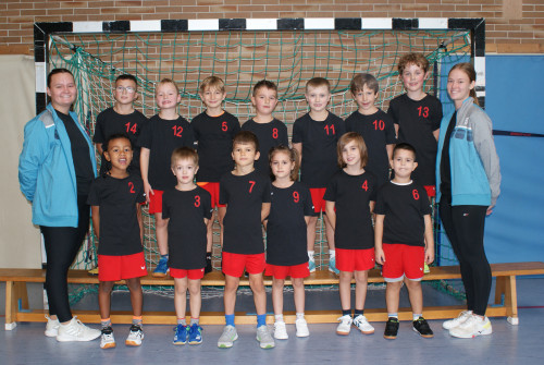 Minis Gro&szlig;-Gerau