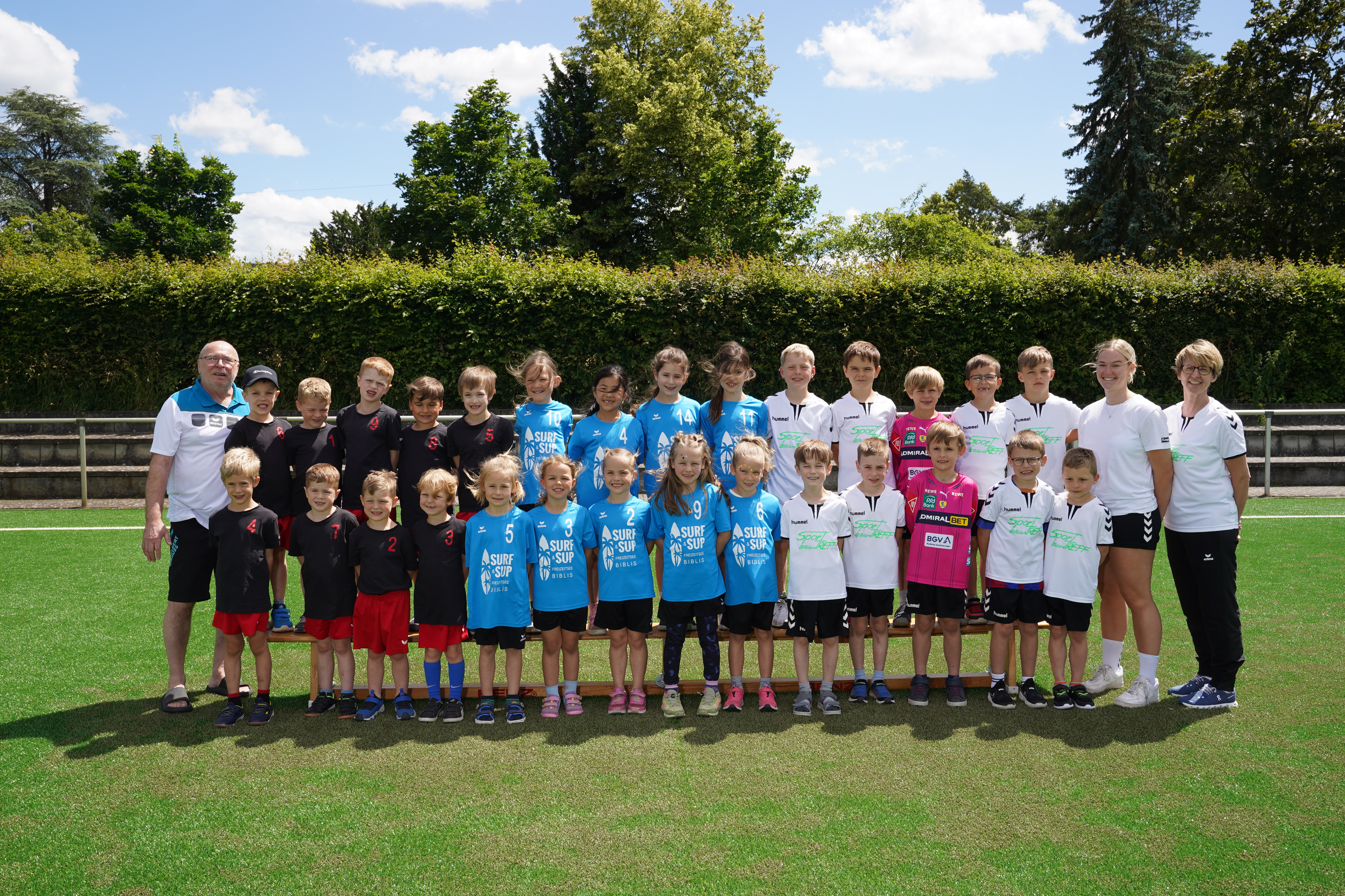 Minis Groß-Gerau
